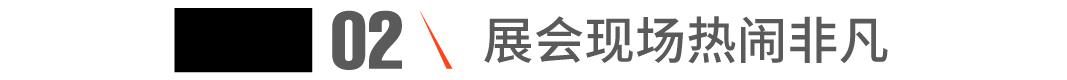 展会现场热闹非凡